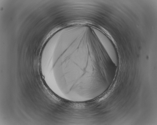 X0000083650802200703121744