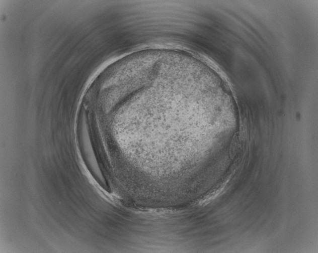 X0000083650803200703121744