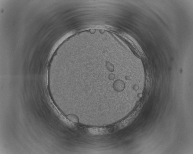 X0000083650804200703121744