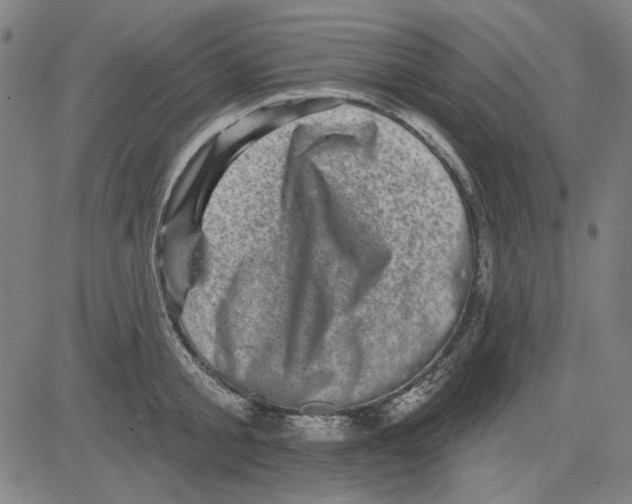 X0000083650805200703121744