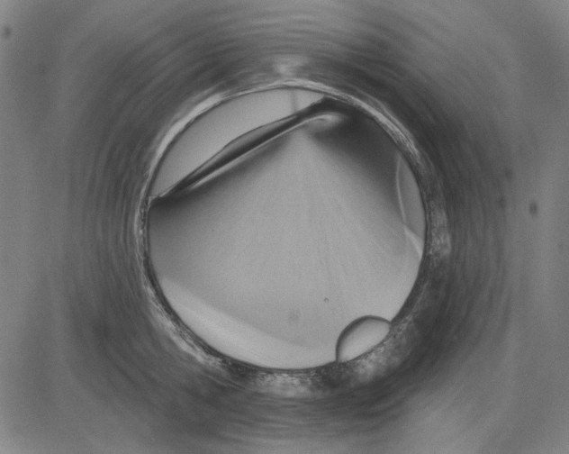 X0000083650806200703121744