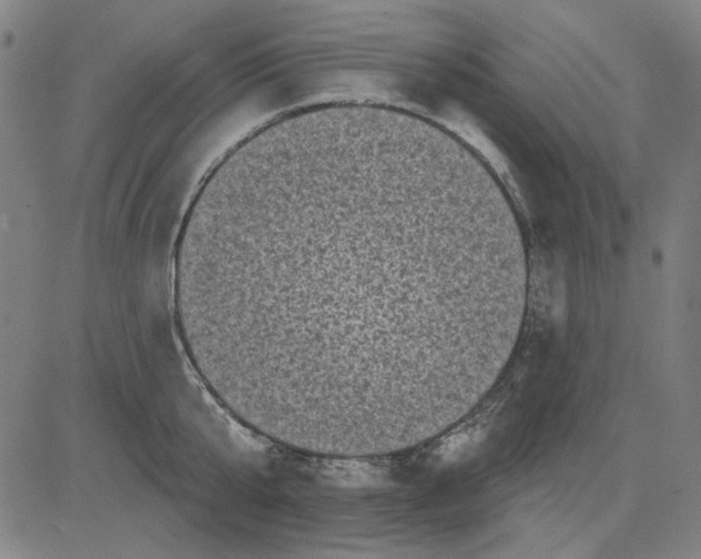 X0000083650807200703121744