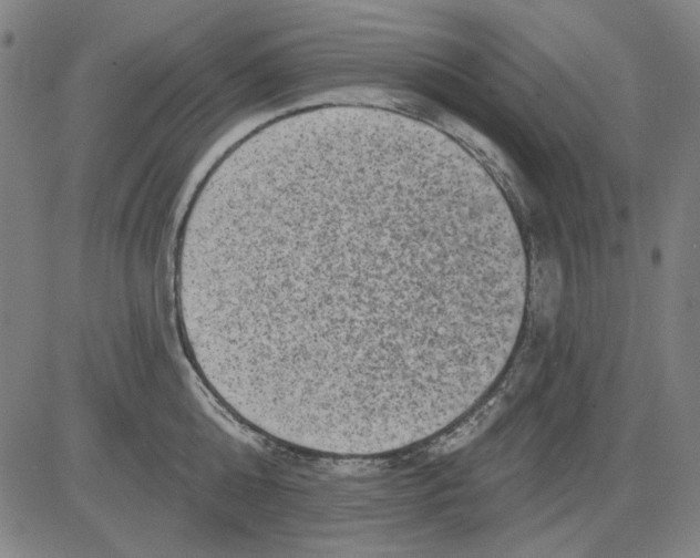 X0000083650808200703121744