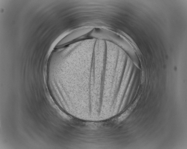 X0000083650812200703121744