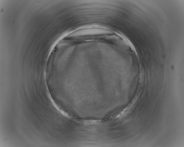 X0000083650813200703121744