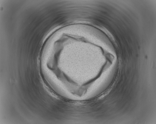 X0000083650814200703121744