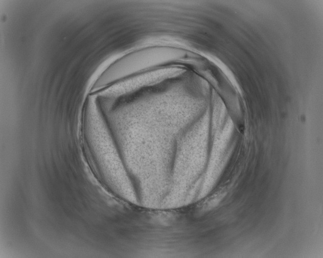 X0000083650815200703121744