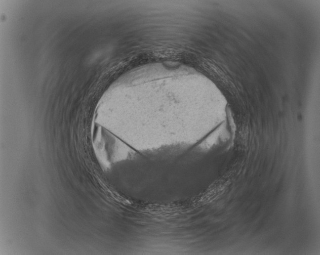 X0000083650817200703121743