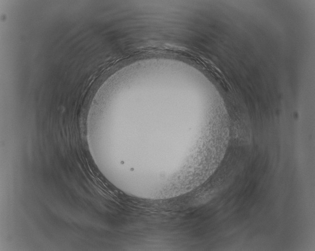 X0000083650820200703121743