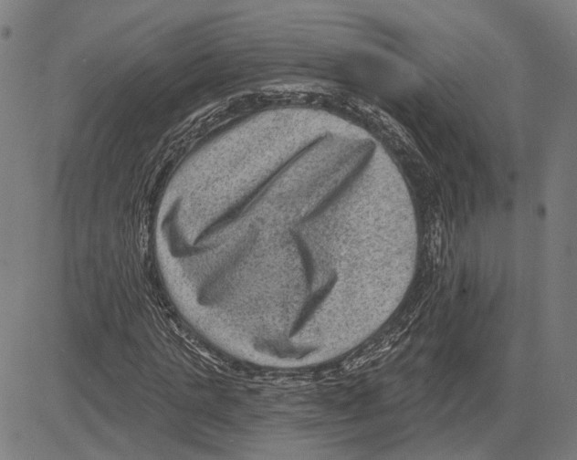 X0000083650821200703121743