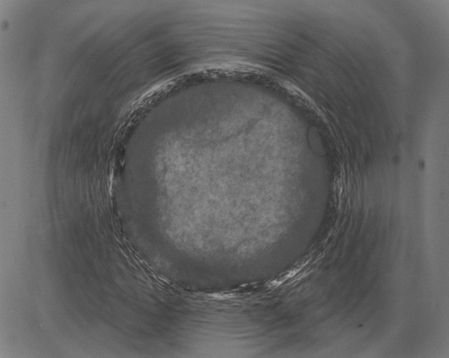 X0000083650822200703121743