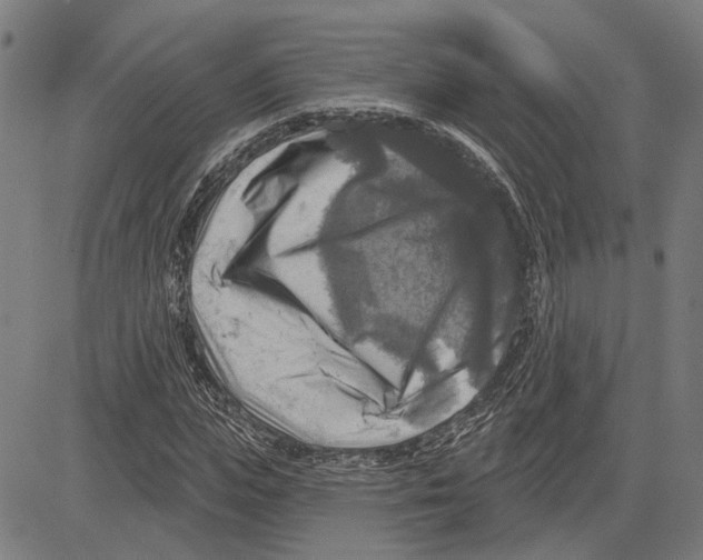 X0000083650823200703121743