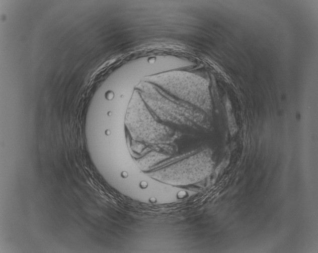 X0000083650824200703121743