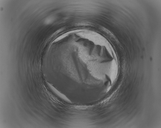 X0000083650825200703121743