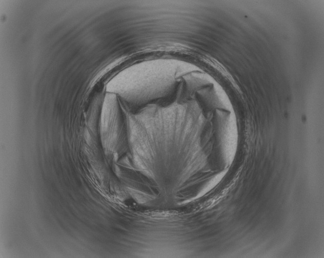 X0000083650826200703121743