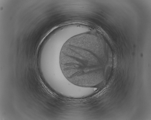 X0000083650828200703121743