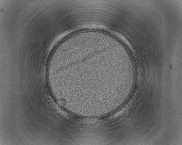 X0000083650831200703121743