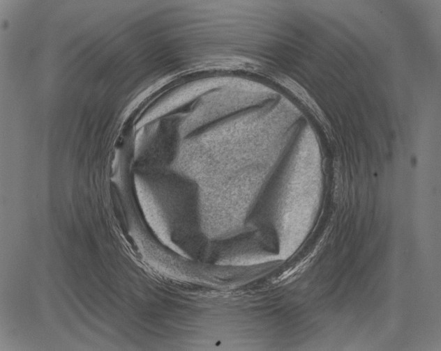 X0000083650834200703121743