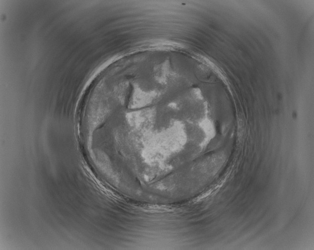 X0000083650835200703121743