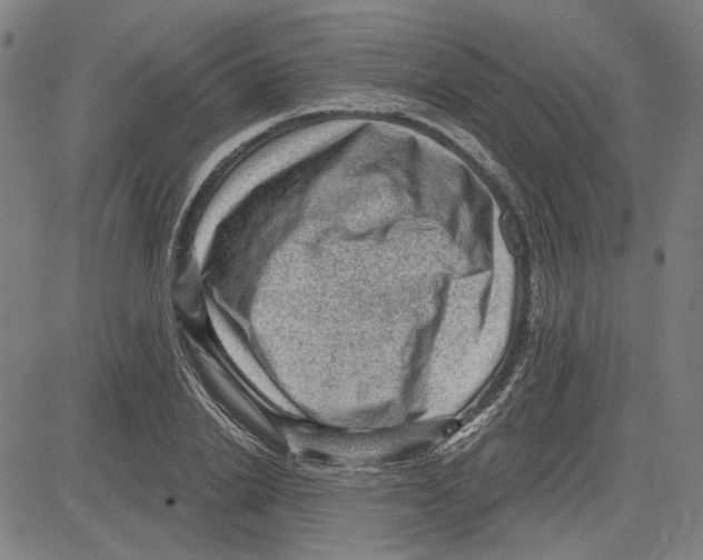 X0000083650838200703121743