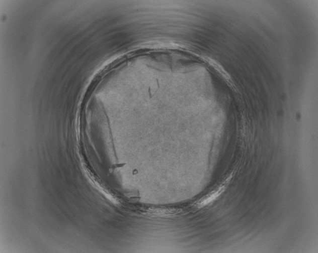 X0000083650840200703121743