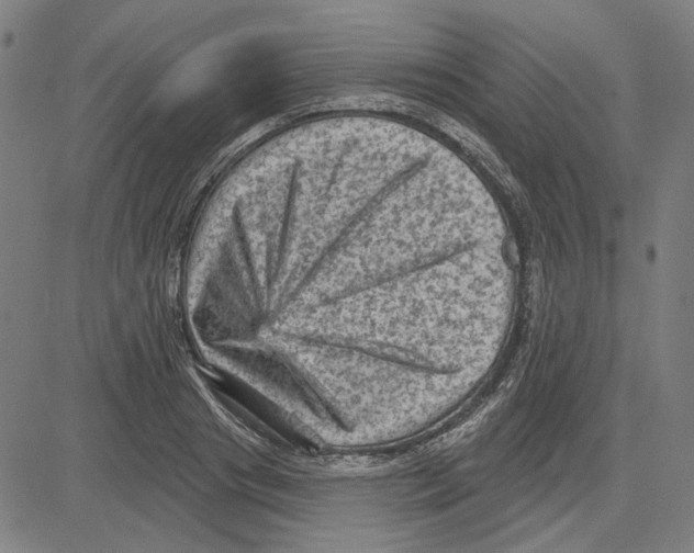 X0000083650841200703121743