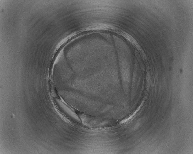 X0000083650842200703121743