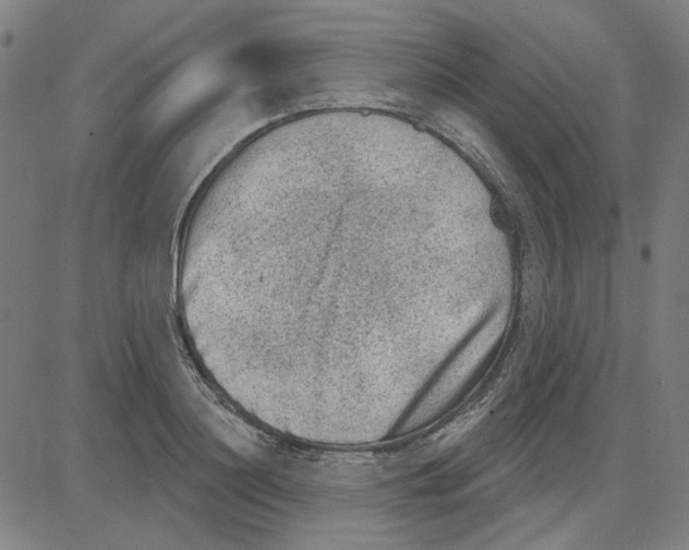 X0000083650844200703121743