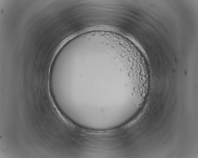 X0000083650845200703121743