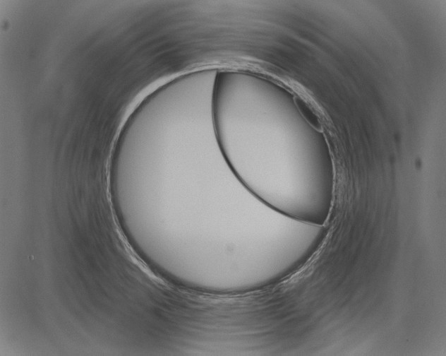 X0000083650846200703121743