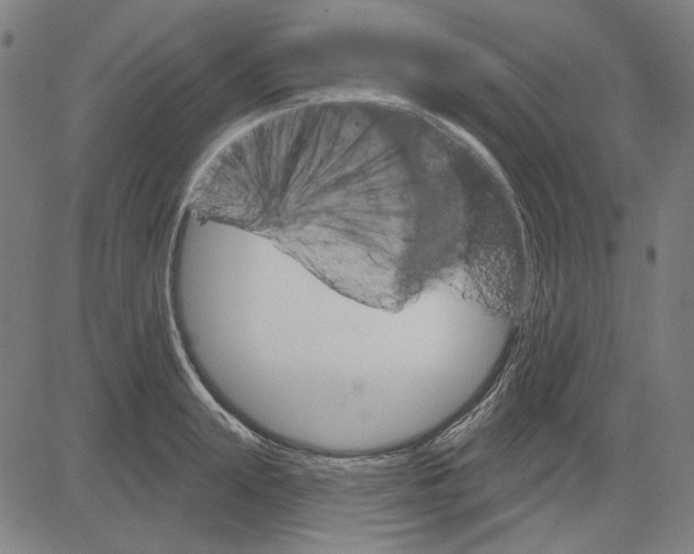 X0000083650847200703121743