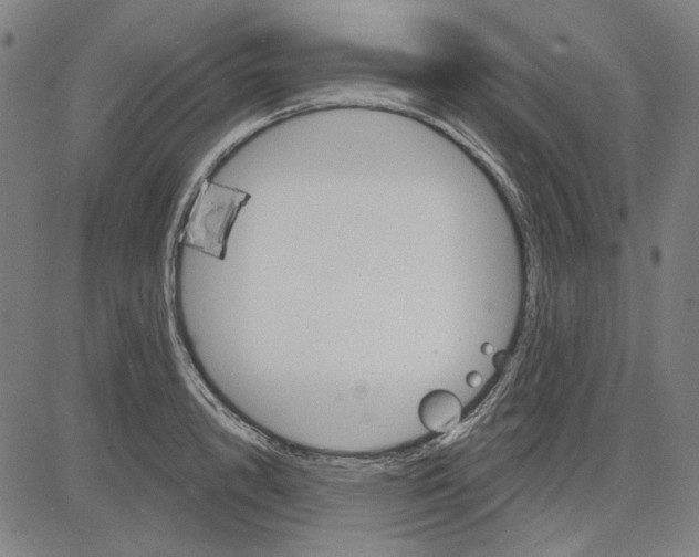 X0000083650848200703121743