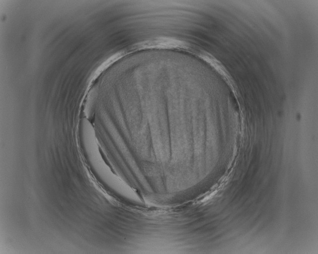 X0000083650850200703121743