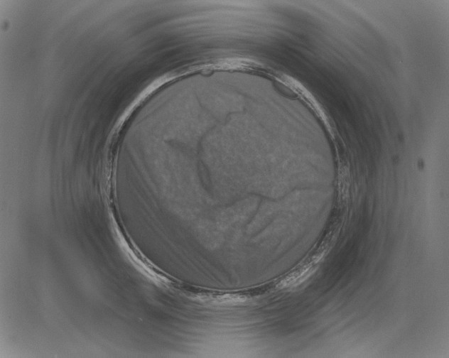 X0000083650851200703121743