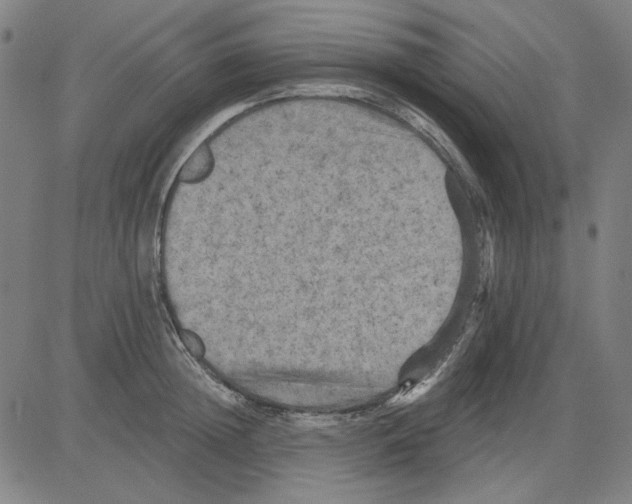 X0000083650852200703121743