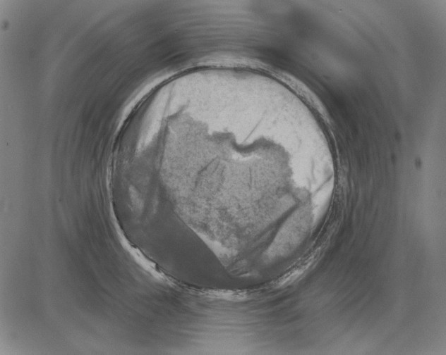 X0000083650855200703121744