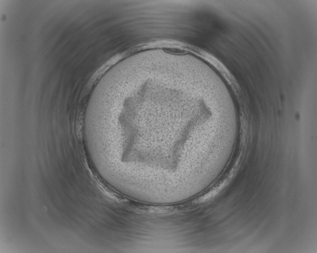 X0000083650857200703121744