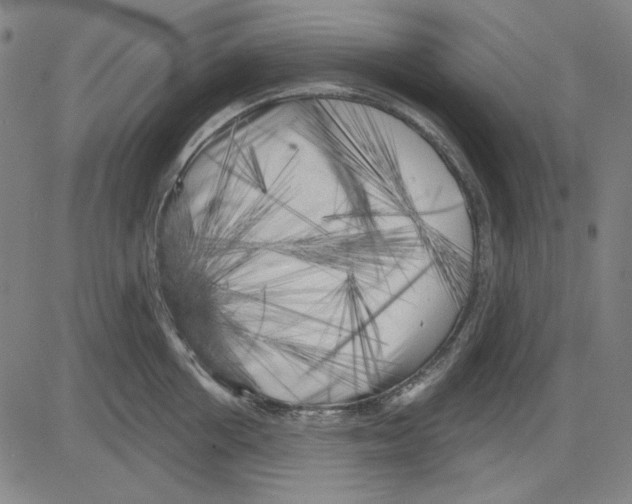 X0000083650858200703121744