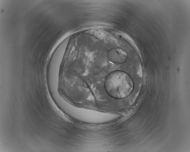 X0000083650859200703121744