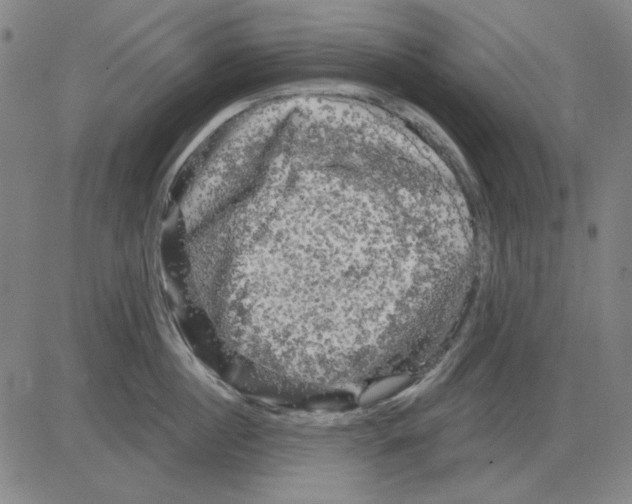 X0000083650860200703121744