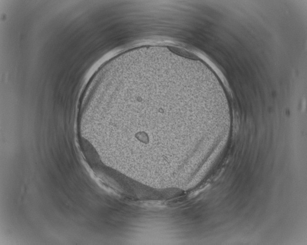 X0000083650861200703121744