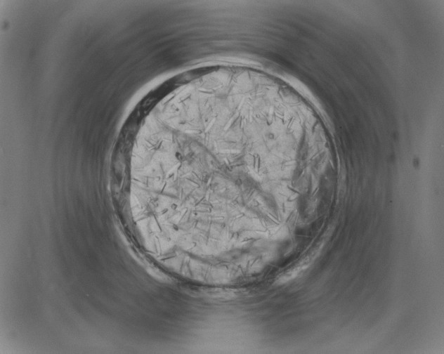 X0000083650862200703121744