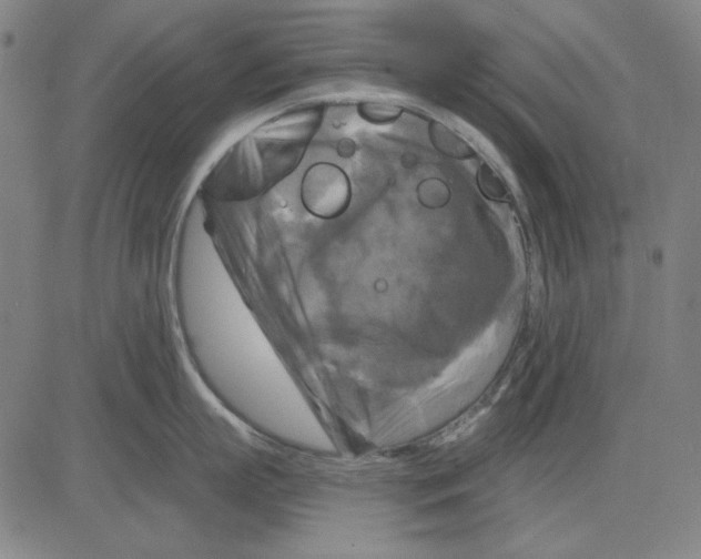 X0000083650863200703121744