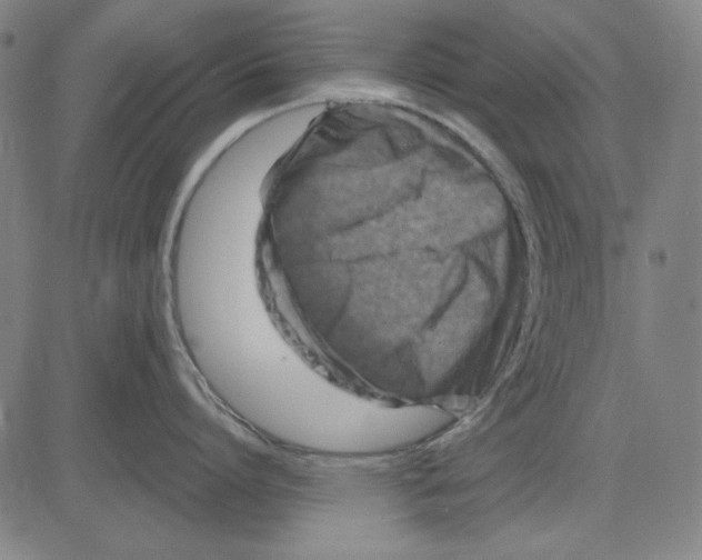 X0000083650864200703121744