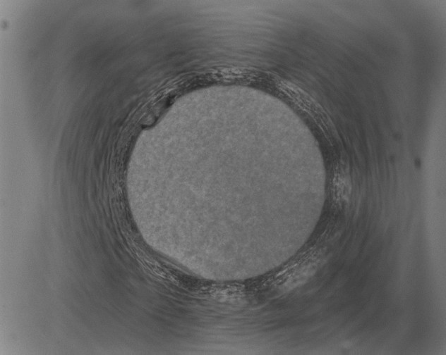 X0000083650865200703121743