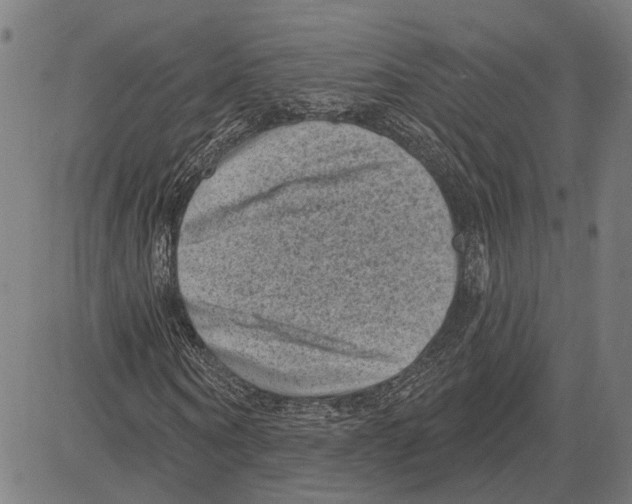 X0000083650866200703121743