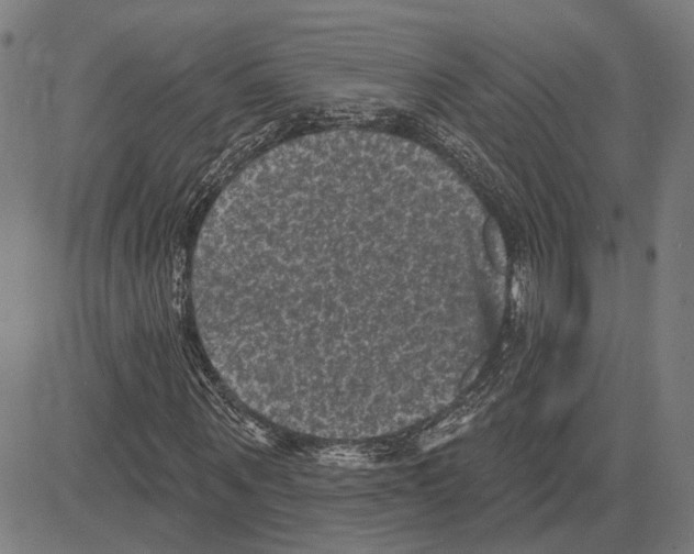 X0000083650867200703121743