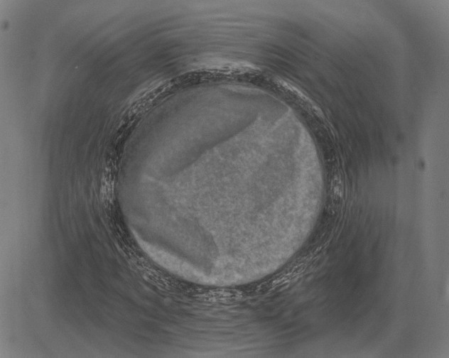 X0000083650869200703121743