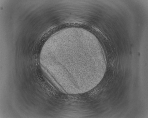 X0000083650870200703121743