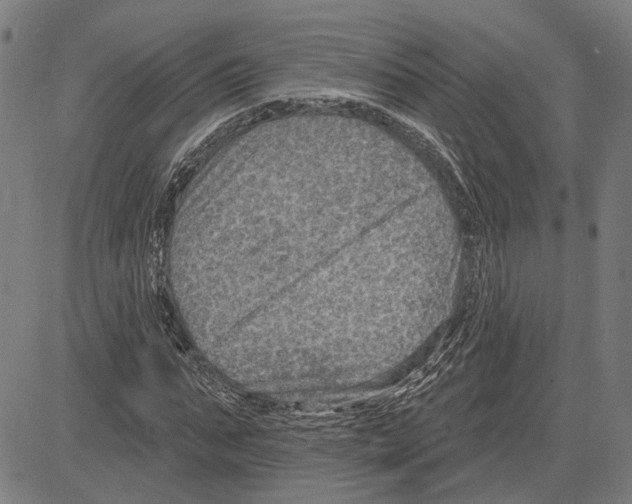 X0000083650871200703121743